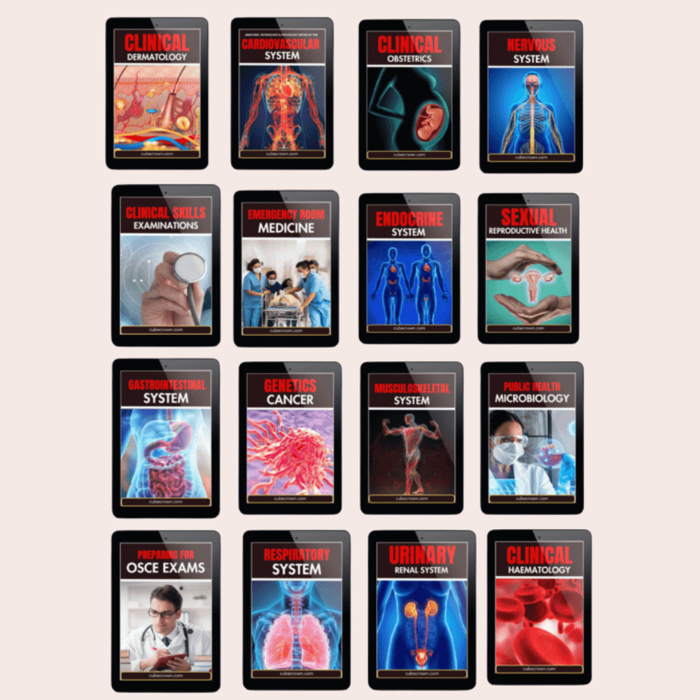 No 1 Medical Notes Bundle - for Medical Students