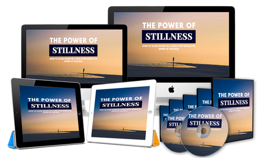 The Power Of Stillness