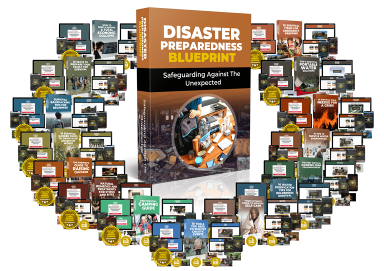Disaster Preparedness Blueprint