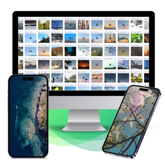 Nature Viral Videos