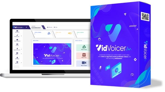 VidVoicer